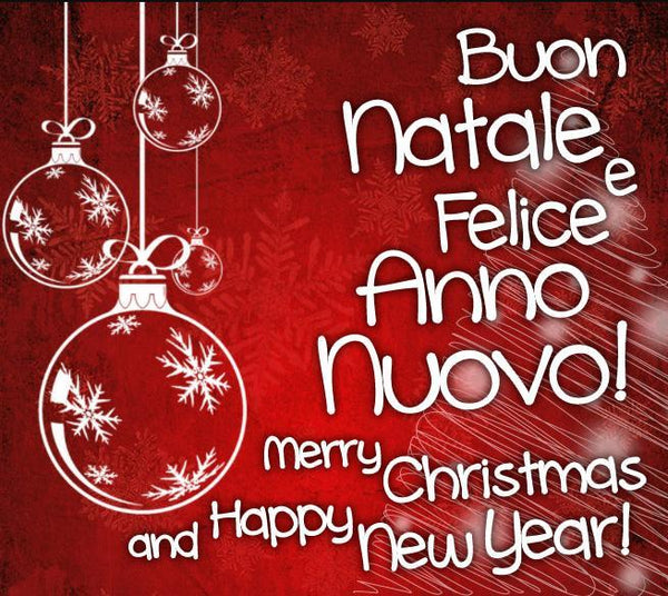 Mailing List 101 Auguri di Buon Natale e Felice Anno Nuovo a tutti voi - Numismatica Leonessa