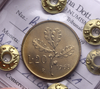 NL* ITALIA 20 Lire RAMO DI QUERCIA 1968 RARA FDC Perizia Castagna Cesare