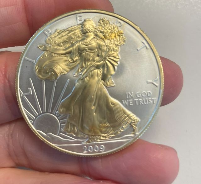 NL* U.S.A. 1 DOLLARO ARGENTO 2009 1 ONCIA ARGENTO PURO SERIGRAFATA -SILVER OZ