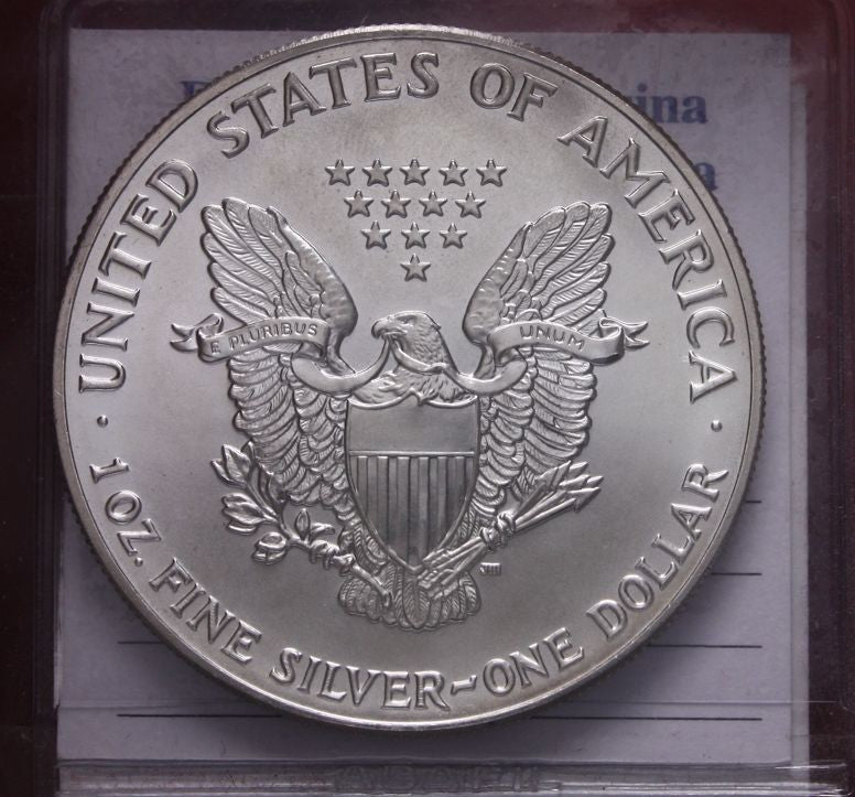 NL* STATI UNITI 1 DOLLARO ARGENTO 1990 1 ONCIA OZ ARGENTO PURO Liberty Walking