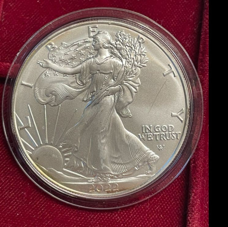 NL* U.S.A. 1 DOLLARO ARGENTO 2022 1 ONCIA ARGENTO PURO Liberty Walking-SILVER OZ