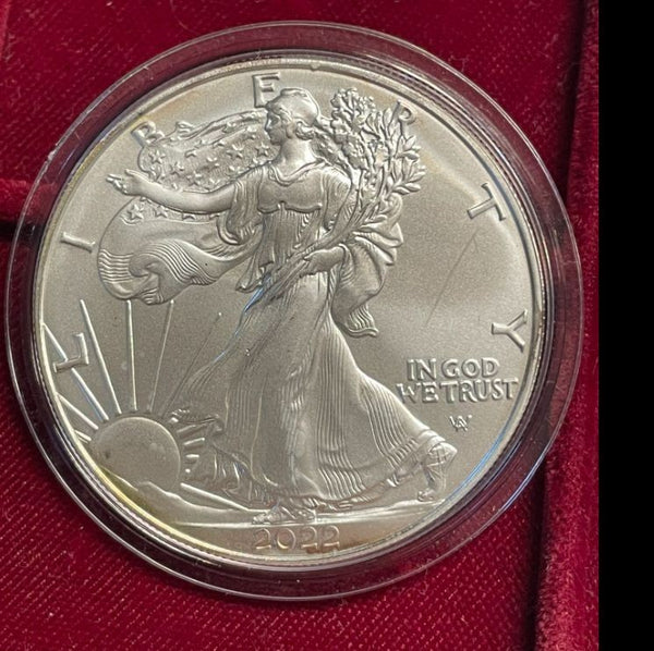 NL* U.S.A. 1 DOLLARO ARGENTO 2022 1 ONCIA ARGENTO PURO Liberty Walking-SILVER OZ