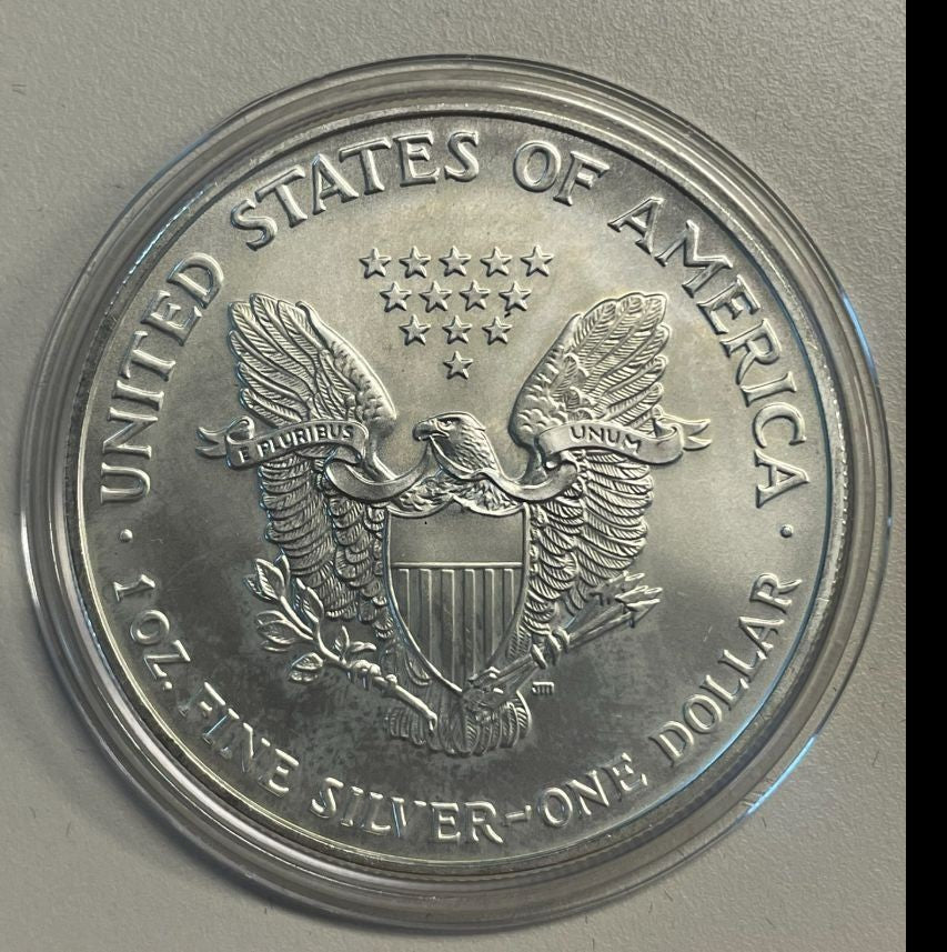 NL* STATI UNITI 1 DOLLARO ARGENTO 2007 ONCIA OZ ARGENTO PURO Liberty Walking
