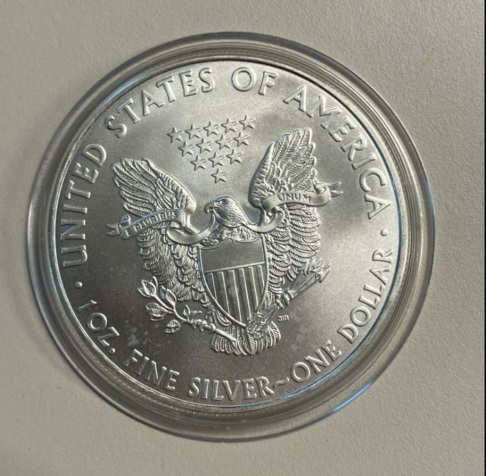 NL* STATI UNITI 1 DOLLARO ARGENTO 2010 ONCIA OZ ARGENTO PURO Liberty Walking