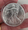 NL* STATI UNITI 1 DOLLARO ARGENTO 2019 1 ONCIA OZ ARGENTO PURO Liberty Walking