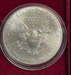 NL* U.S.A. 1 DOLLARO ARGENTO 2013 1 ONCIA ARGENTO PURO Liberty Walking-SILVER OZ
