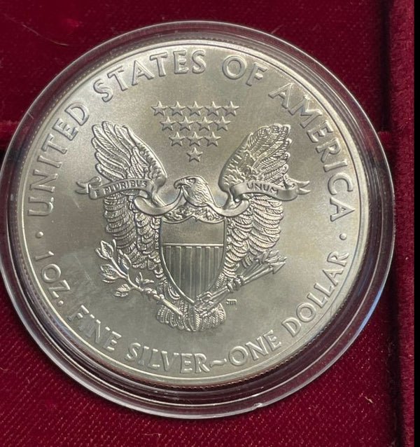 NL* U.S.A. 1 DOLLARO ARGENTO 2013 1 ONCIA ARGENTO PURO Liberty Walking-SILVER OZ
