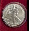 NL* U.S.A. 1 DOLLARO ARGENTO 2017 1 ONCIA ARGENTO PURO Liberty Walking-SILVER OZ