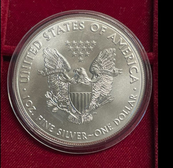 NL* U.S.A. 1 DOLLARO ARGENTO 2016 1 ONCIA ARGENTO PURO Liberty Walking-SILVER OZ
