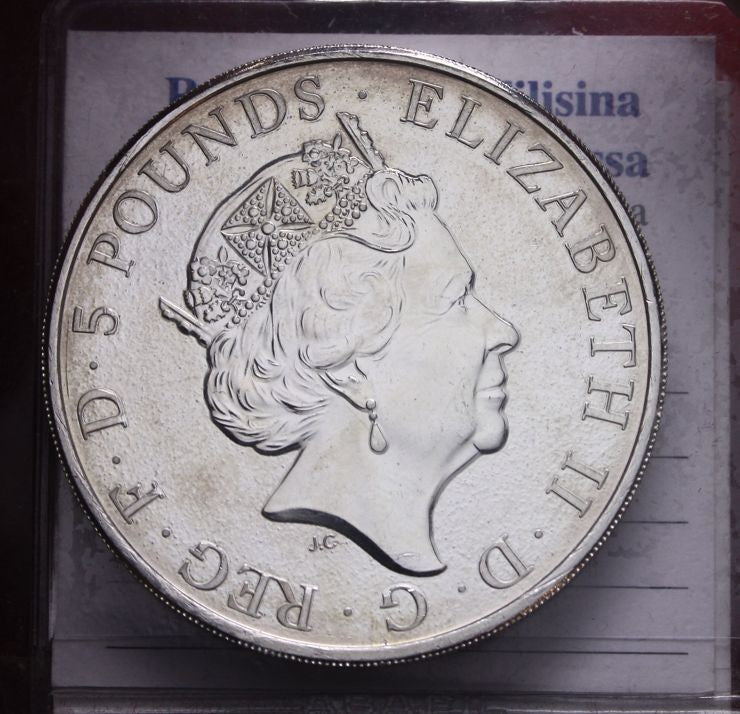 47053849