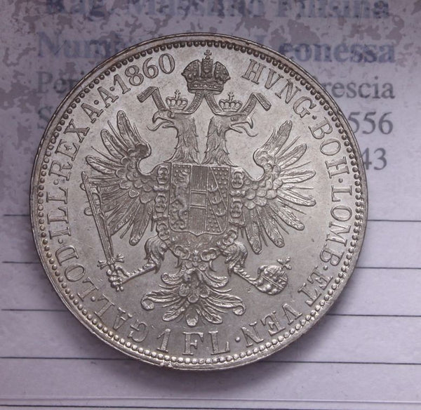 46972582