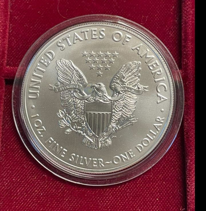NL* U.S.A. 1 DOLLARO ARGENTO 2019 1 ONCIA ARGENTO PURO Liberty Walking-SILVER OZ