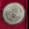 NL* U.S.A. 1 DOLLARO ARGENTO 2019 1 ONCIA ARGENTO PURO Liberty Walking-SILVER OZ