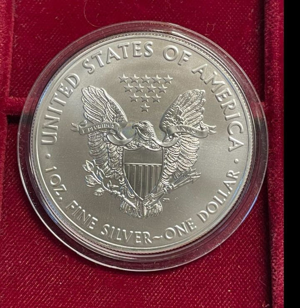NL* U.S.A. 1 DOLLARO ARGENTO 2019 1 ONCIA ARGENTO PURO Liberty Walking-SILVER OZ