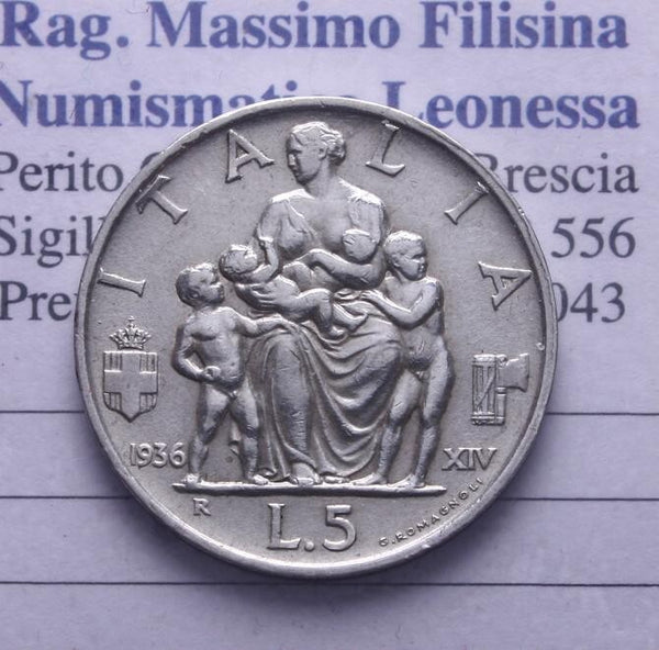 45008431