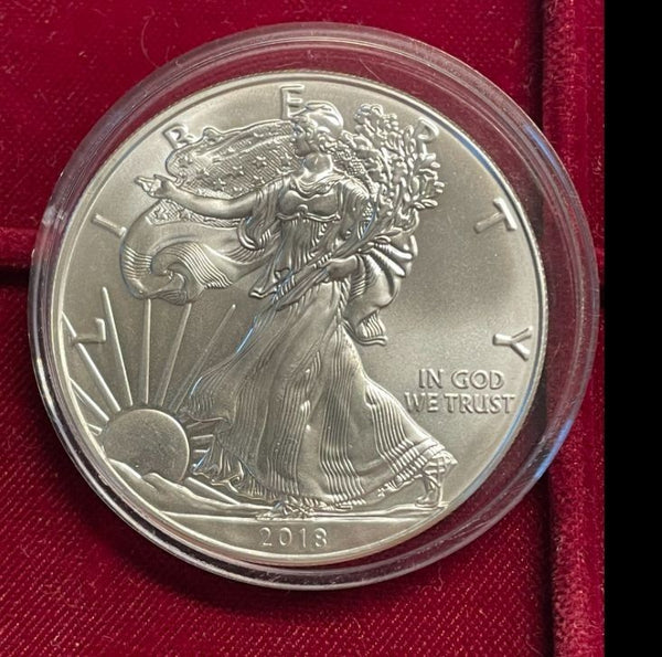 NL* U.S.A. 1 DOLLARO ARGENTO 2018 1 ONCIA ARGENTO PURO Liberty Walking-SILVER OZ