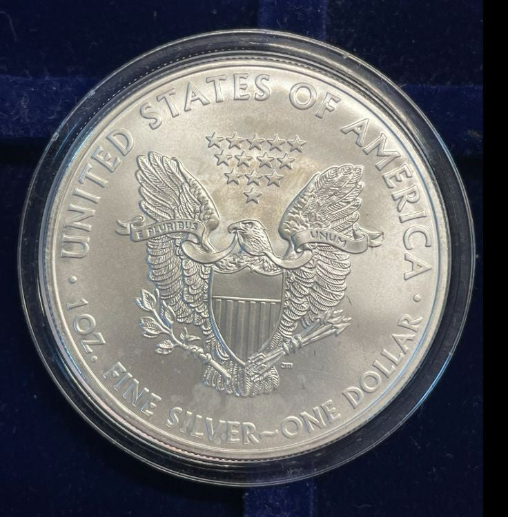 NL* STATI UNITI 1 DOLLARO ARGENTO 2008 ONCIA OZ ARGENTO PURO Liberty Walking