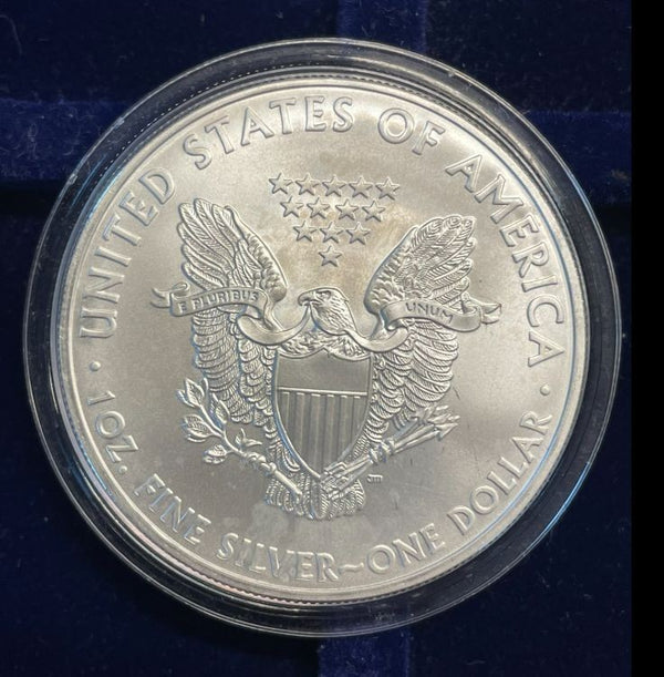 NL* STATI UNITI 1 DOLLARO ARGENTO 2008 ONCIA OZ ARGENTO PURO Liberty Walking