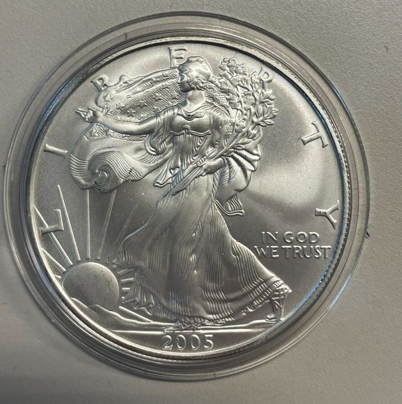 NL* STATI UNITI 1 DOLLARO ARGENTO 2005 ONCIA OZ ARGENTO PURO Liberty Walking