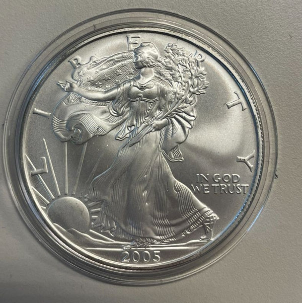 NL* STATI UNITI 1 DOLLARO ARGENTO 2005 ONCIA OZ ARGENTO PURO Liberty Walking