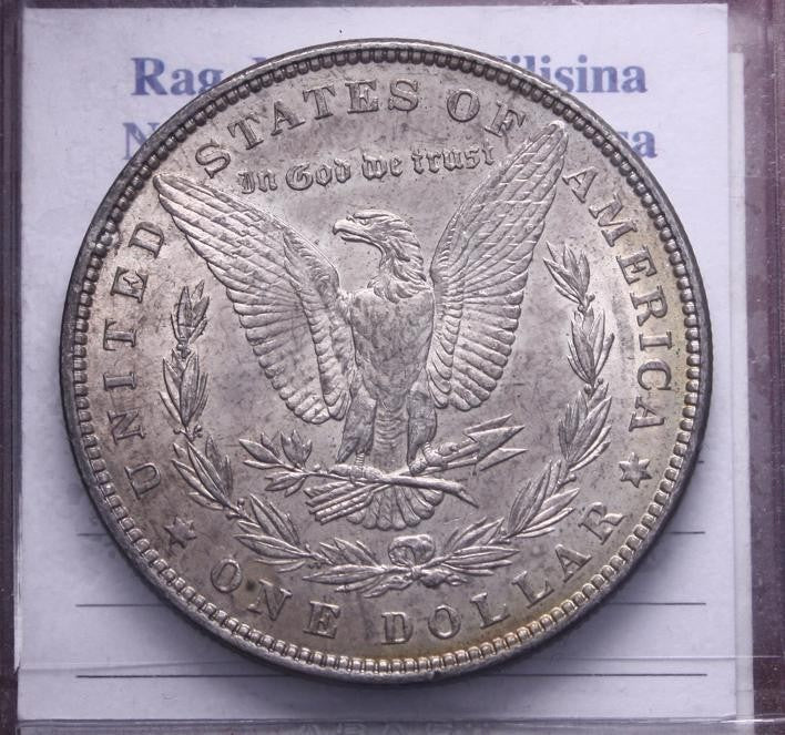 NL* USA 1 DOLLARO ARGENTO SILVER MORGAN 1882 Superba conservazione con lustro