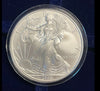 NL* STATI UNITI 1 DOLLARO ARGENTO 2009 ONCIA OZ ARGENTO PURO Liberty Walking