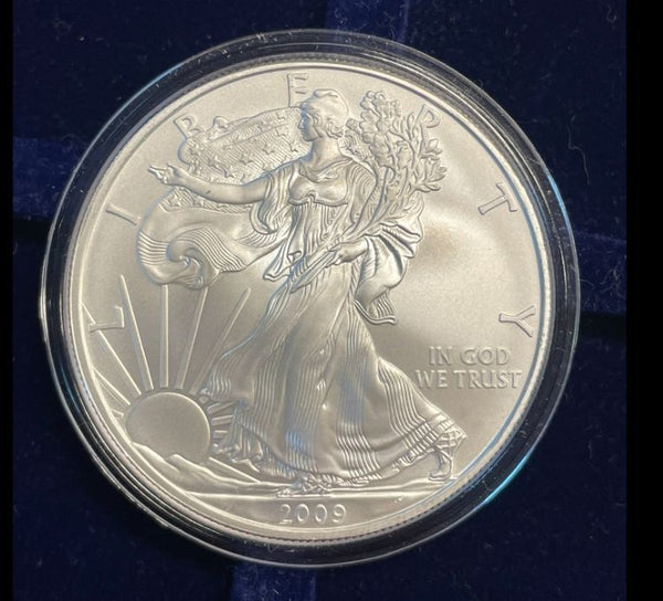 NL* STATI UNITI 1 DOLLARO ARGENTO 2009 ONCIA OZ ARGENTO PURO Liberty Walking
