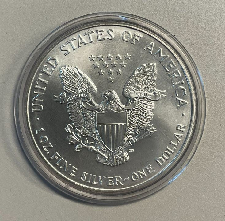 NL* STATI UNITI 1 DOLLARO ARGENTO 1999 1 ONCIA OZ ARGENTO PURO Liberty Walking