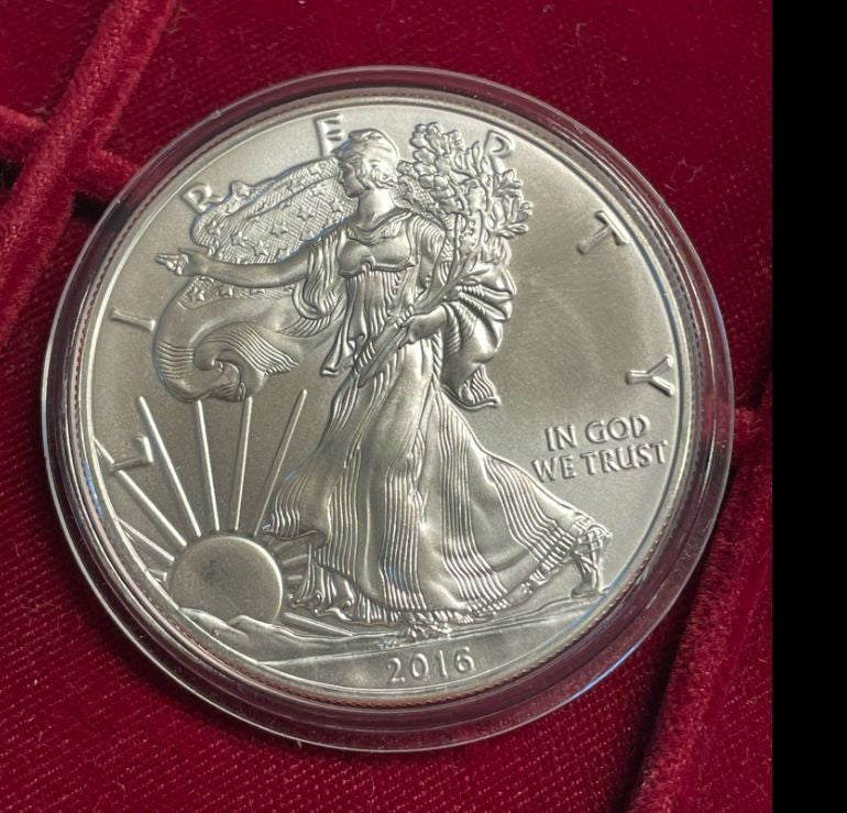 NL* U.S.A. 1 DOLLARO ARGENTO 2016 1 ONCIA ARGENTO PURO Liberty Walking-SILVER OZ