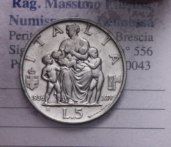 47399292