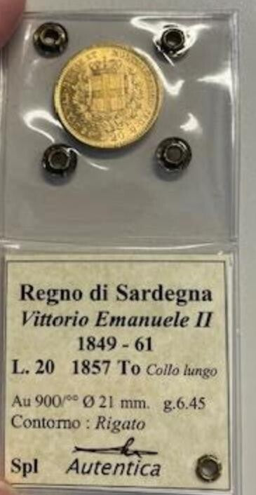 45033605