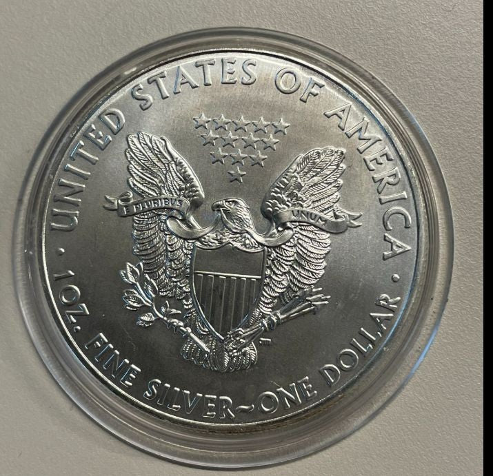NL* STATI UNITI 1 DOLLARO ARGENTO 2011 ONCIA OZ ARGENTO PURO Liberty Walking