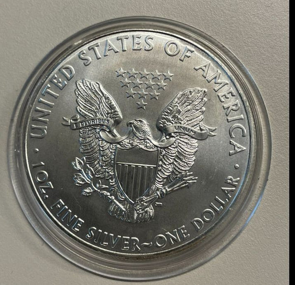 NL* STATI UNITI 1 DOLLARO ARGENTO 2011 ONCIA OZ ARGENTO PURO Liberty Walking