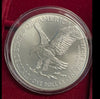 NL* U.S.A. 1 DOLLARO ARGENTO 2021 1 ONCIA ARGENTO PURO Liberty Walking-NUOVO TIP