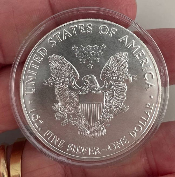 NL* STATI UNITI 1 DOLLARO ARGENTO 2019 1 ONCIA OZ ARGENTO PURO Liberty Walking