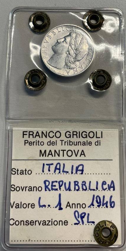45281031