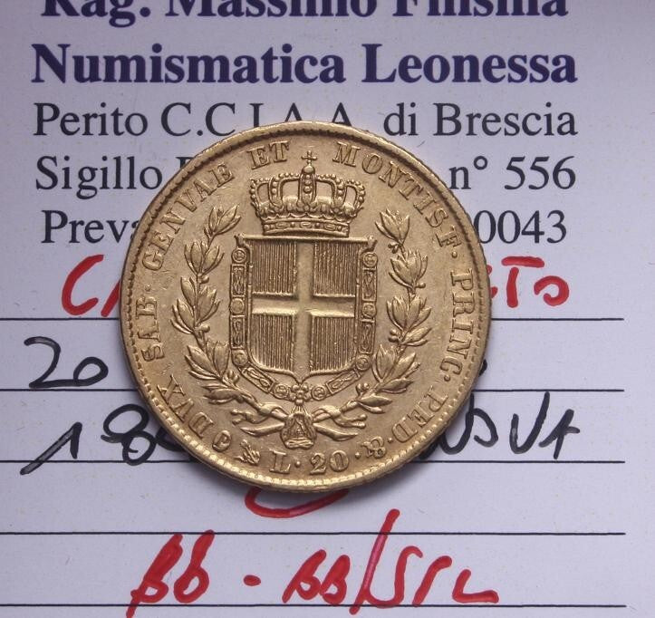 45034405