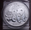 NL* CINA China 10 YUAN ARGENTO SILVER 2010 PANDA PROOF come da foto