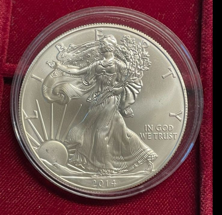 NL* U.S.A. 1 DOLLARO ARGENTO 2014 1 ONCIA ARGENTO PURO Liberty Walking-SILVER OZ