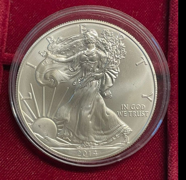 NL* U.S.A. 1 DOLLARO ARGENTO 2014 1 ONCIA ARGENTO PURO Liberty Walking-SILVER OZ