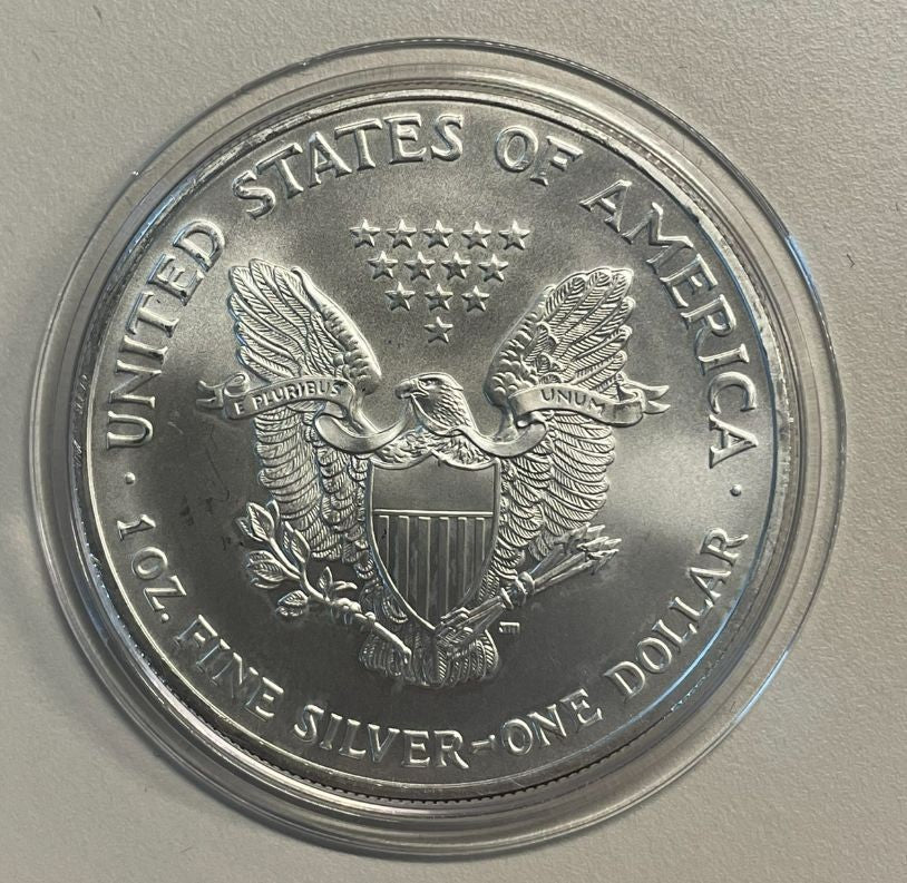 NL* STATI UNITI 1 DOLLARO ARGENTO 2004 ONCIA OZ ARGENTO PURO Liberty Walking