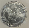 NL* STATI UNITI 1 DOLLARO ARGENTO 2004 ONCIA OZ ARGENTO PURO Liberty Walking