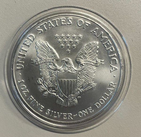 NL* STATI UNITI 1 DOLLARO ARGENTO 2004 ONCIA OZ ARGENTO PURO Liberty Walking