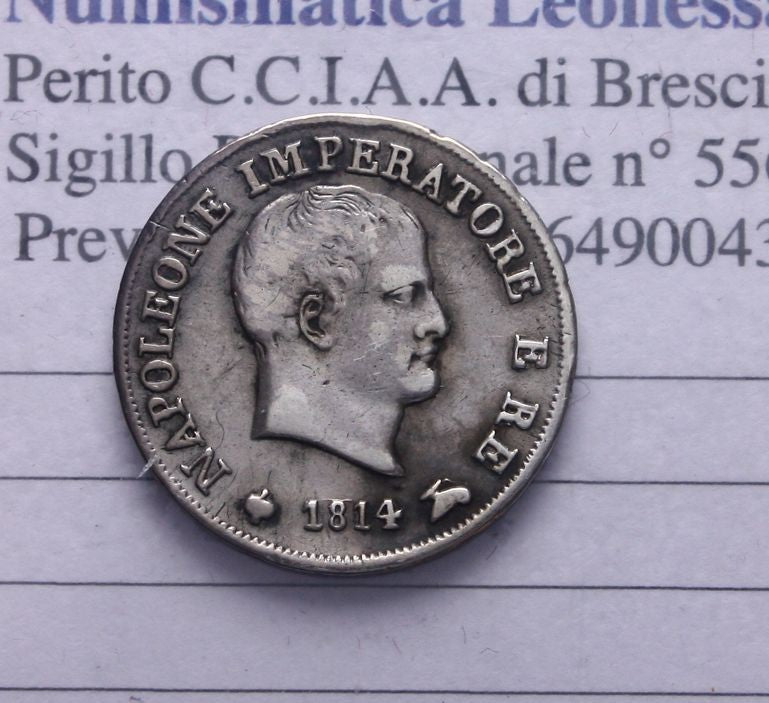 47076877