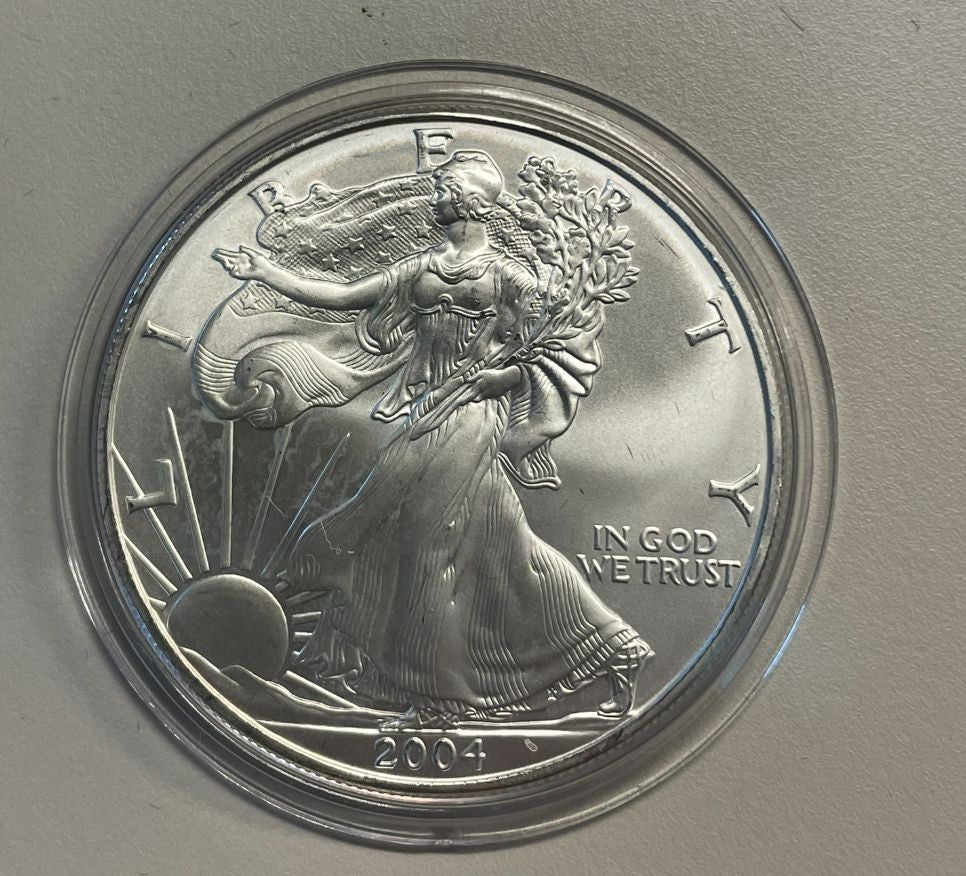 NL* STATI UNITI 1 DOLLARO ARGENTO 2004 ONCIA OZ ARGENTO PURO Liberty Walking
