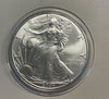 NL* STATI UNITI 1 DOLLARO ARGENTO 2004 ONCIA OZ ARGENTO PURO Liberty Walking