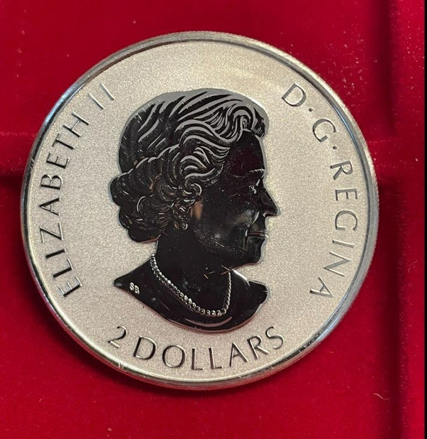 NL*CANADA 2 Dollari 2018 3/4 OZ ONCIA ARGENTO PURO Animali Selvatici ORSO FDC