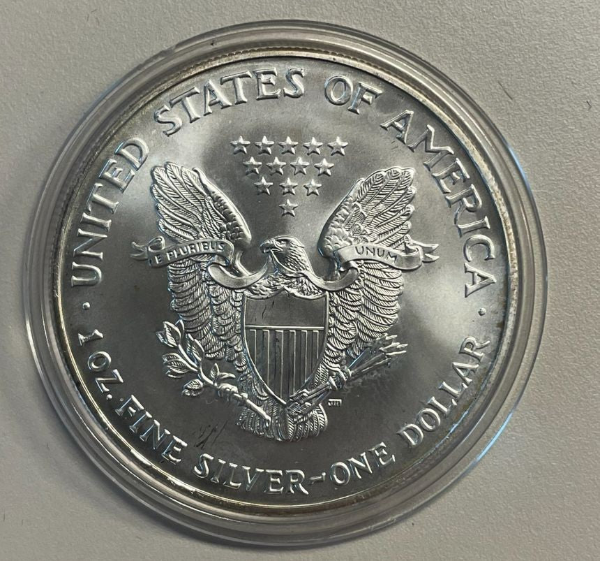 NL* STATI UNITI 1 DOLLARO ARGENTO 2002  1 ONCIA OZ ARGENTO PURO Liberty Walking