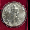 NL* U.S.A. 1 DOLLARO ARGENTO 2020 1 ONCIA ARGENTO PURO Liberty Walking-SILVER OZ