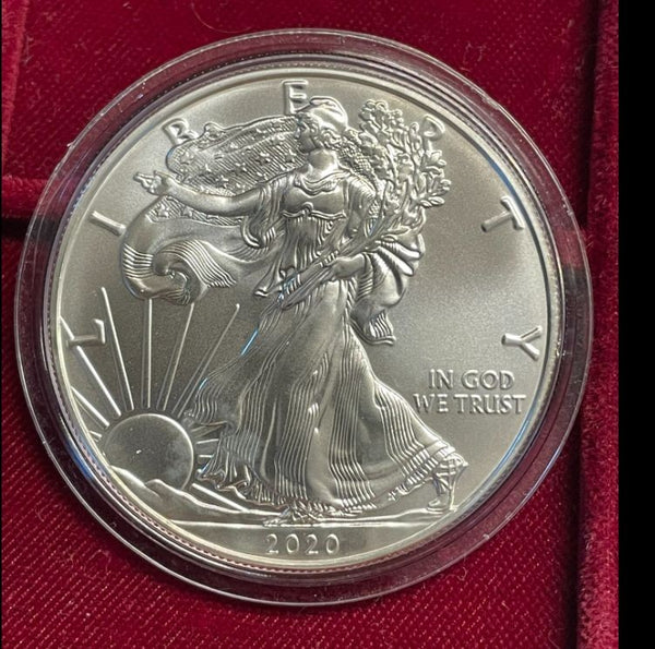 NL* U.S.A. 1 DOLLARO ARGENTO 2020 1 ONCIA ARGENTO PURO Liberty Walking-SILVER OZ